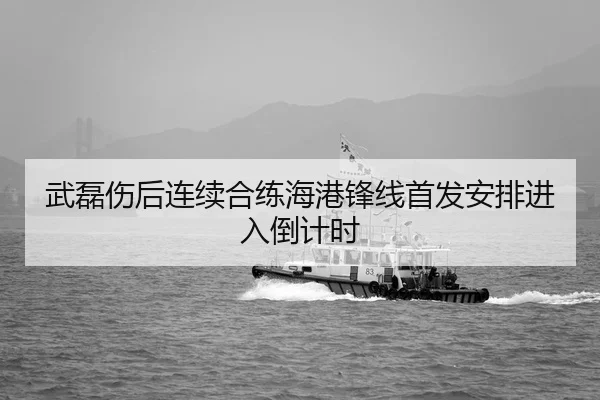 武磊伤后连续合练海港锋线首发安排进入倒计时